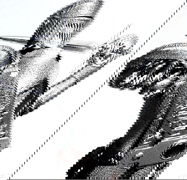 6nattynat9 6nattynat9 archive image