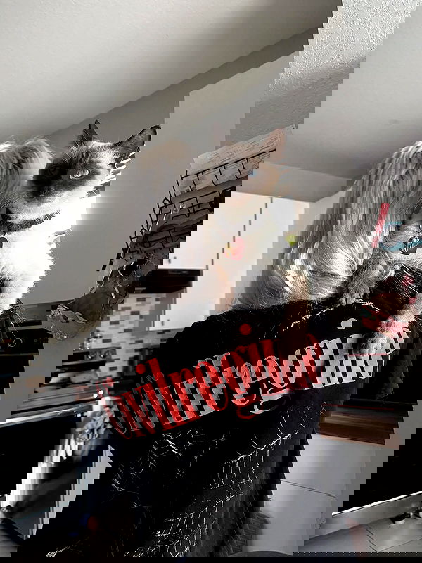 6nattynat9 6nattynat9 archive image