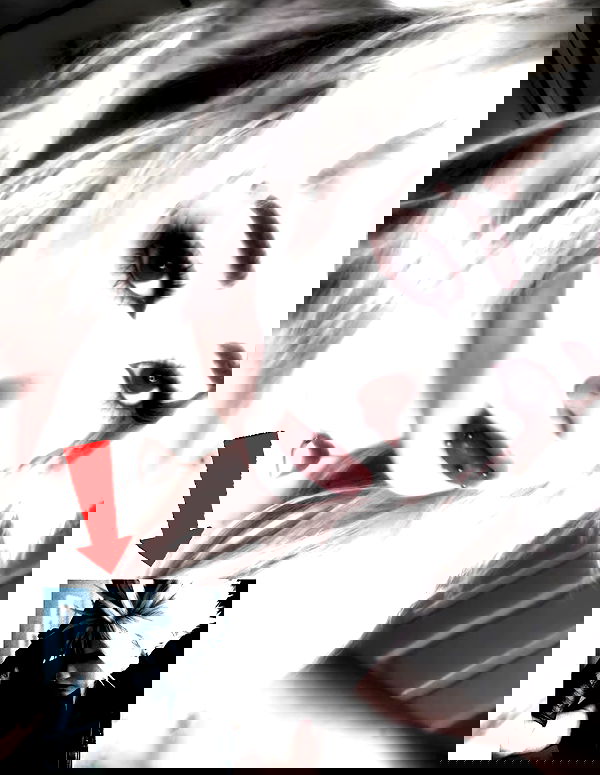 6nattynat9 6nattynat9 archive image