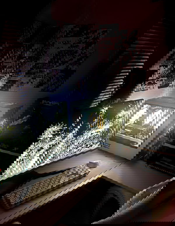 6nattynat9 6nattynat9 archive image