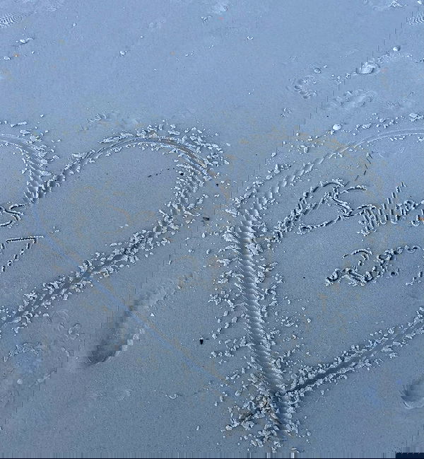 6nattynat9 6nattynat9 archive image