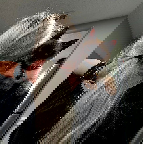 6nattynat9 6nattynat9 archive image