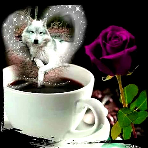 6nattynat9 6nattynat9 archive image