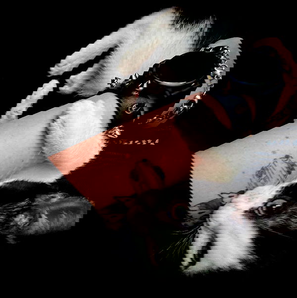 6nattynat9 6nattynat9 archive image