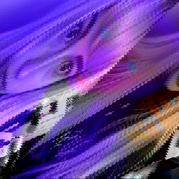 6nattynat9 6nattynat9 archive image