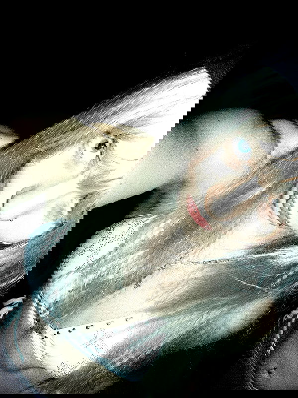 6nattynat9 6nattynat9 archive image