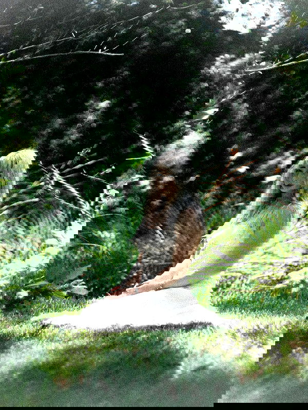 6nattynat9 6nattynat9 archive image