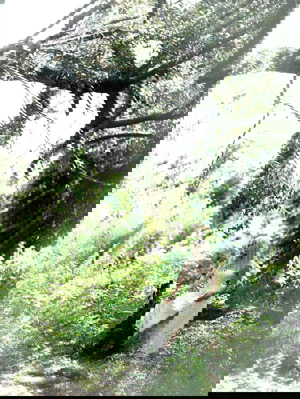 6nattynat9 6nattynat9 archive image