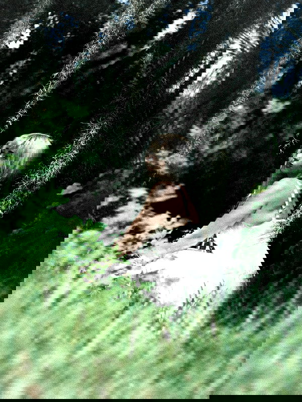 6nattynat9 6nattynat9 archive image