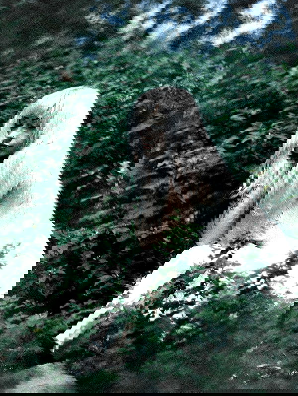 6nattynat9 6nattynat9 archive image