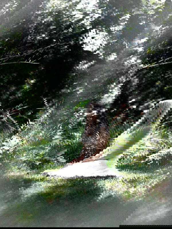 6nattynat9 6nattynat9 archive image