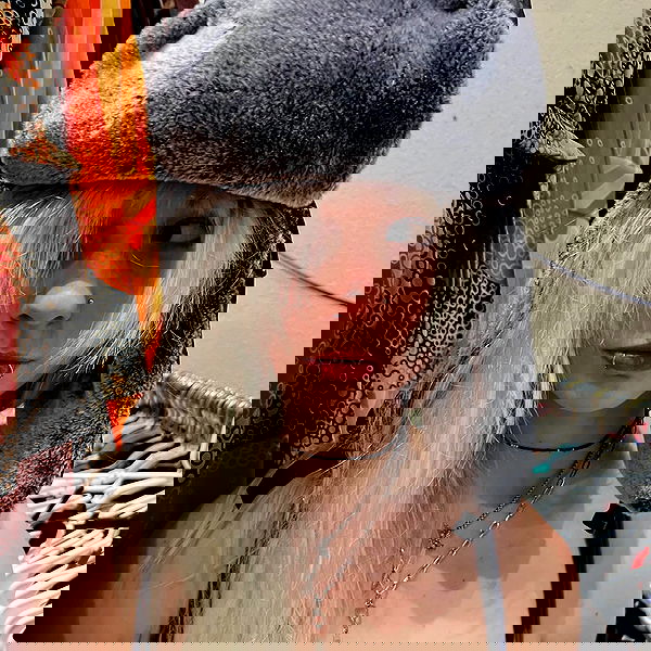 6nattynat9 6nattynat9 archive image