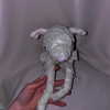7antica9 Altpins Profile Picture