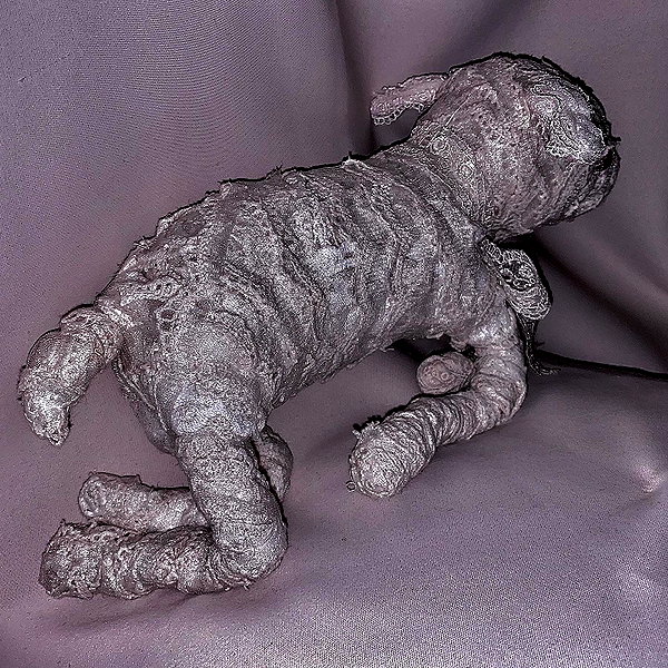 7antica9 instagram image archive image