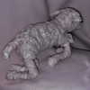 7antica9 Altpins Profile Picture