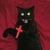 7antica9 Altpins Profile Picture