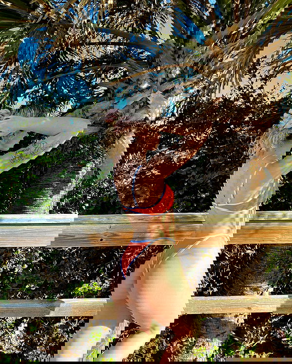 7lems7 7lems7 archive image