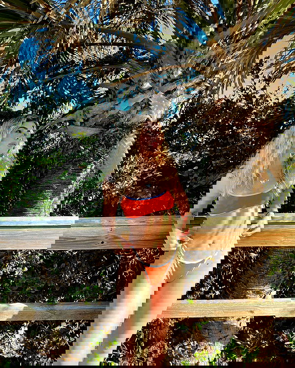 7lems7 7lems7 archive image