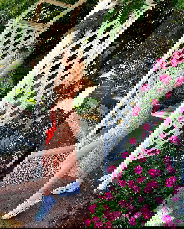 7lems7 7lems7 archive image