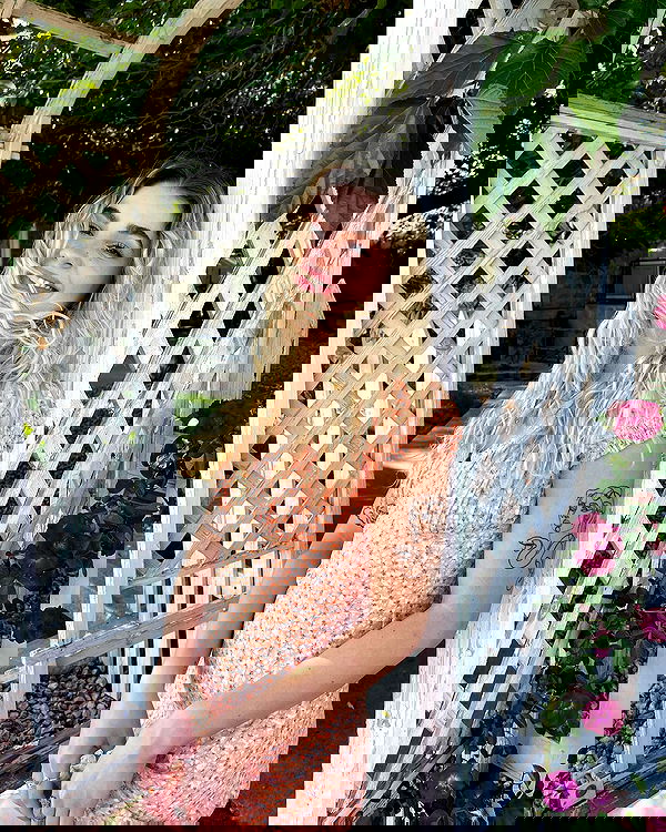 7lems7 7lems7 archive image