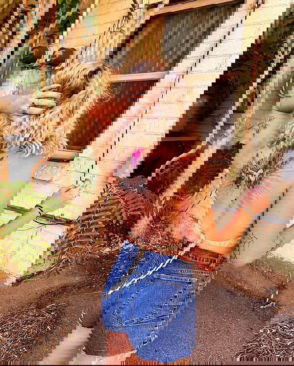 7lems7 7lems7 archive image