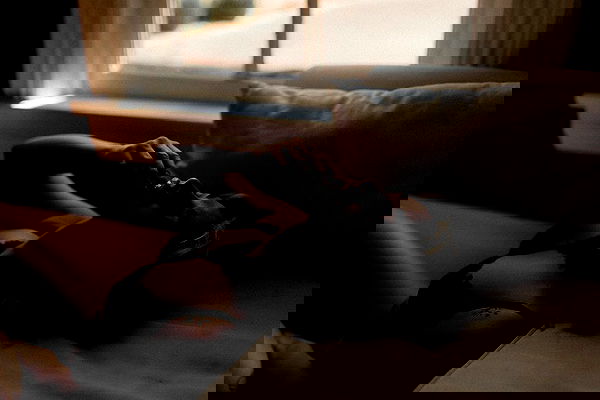 7lems7 7lems7 archive image