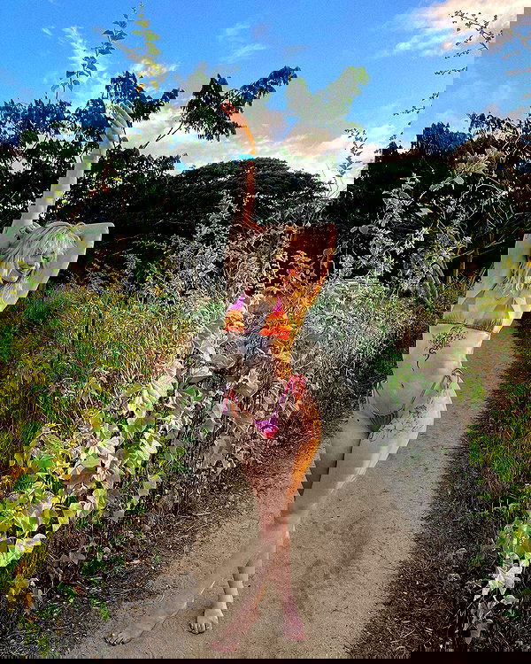 7lems7 7lems7 archive image