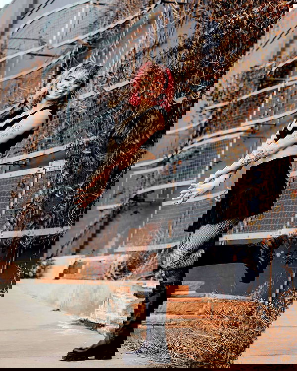 7lems7 7lems7 archive image