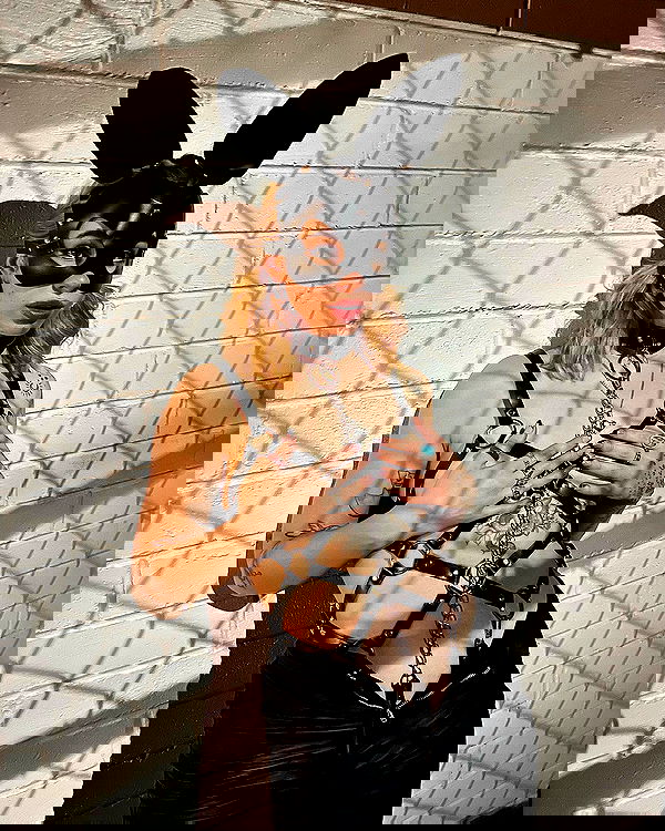 7lems7 7lems7 archive image