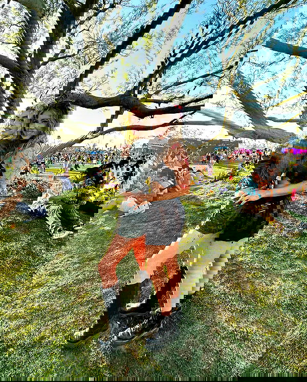 7lems7 7lems7 archive image