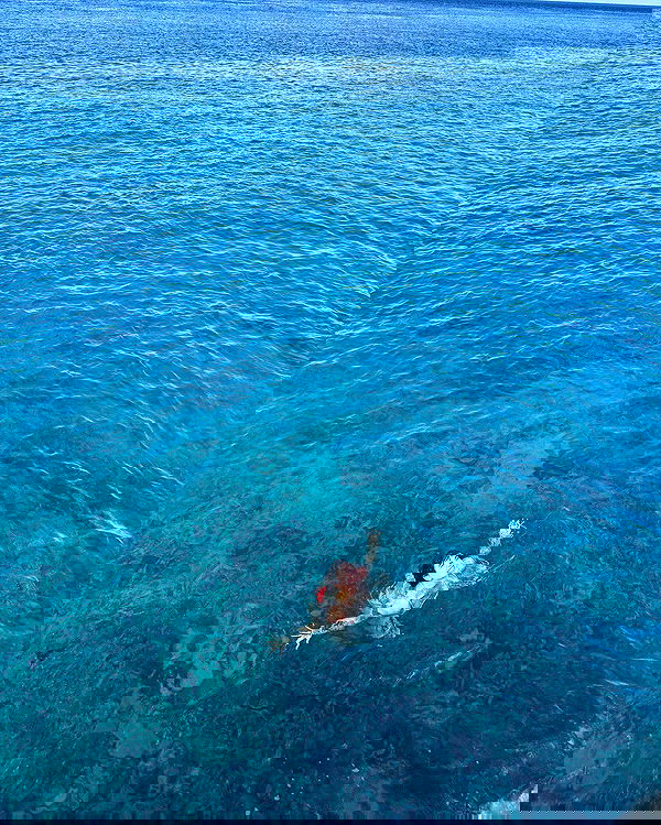 7lems7 7lems7 archive image