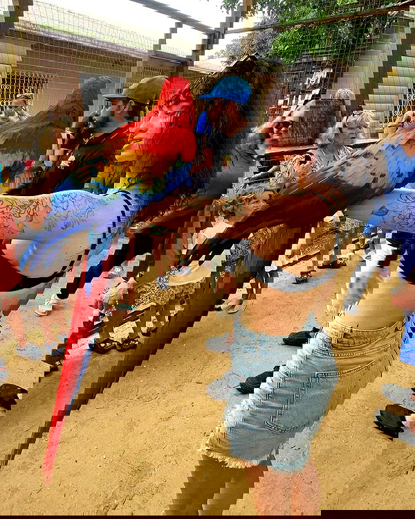 7lems7 7lems7 archive image