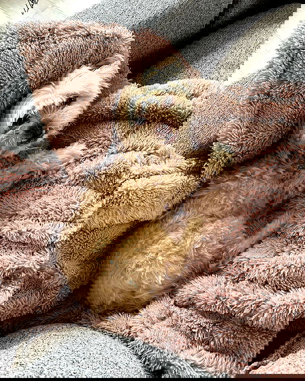 7lems7 7lems7 archive image