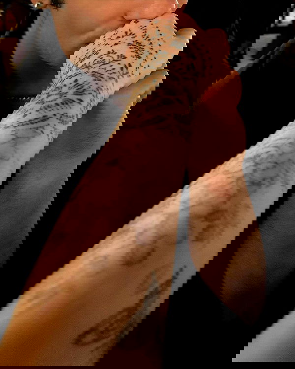 7lems7 7lems7 archive image