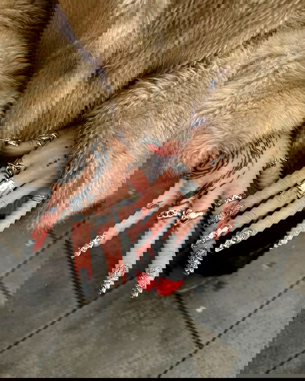 7lems7 7lems7 archive image