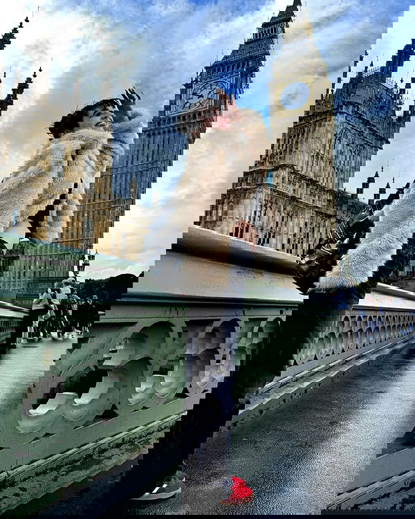 7lems7 7lems7 archive image