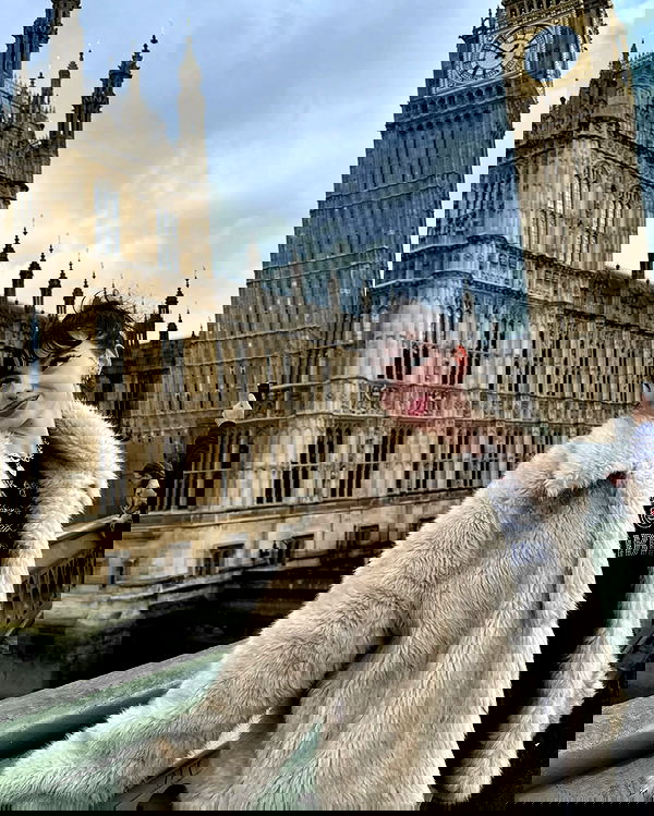 7lems7 7lems7 archive image