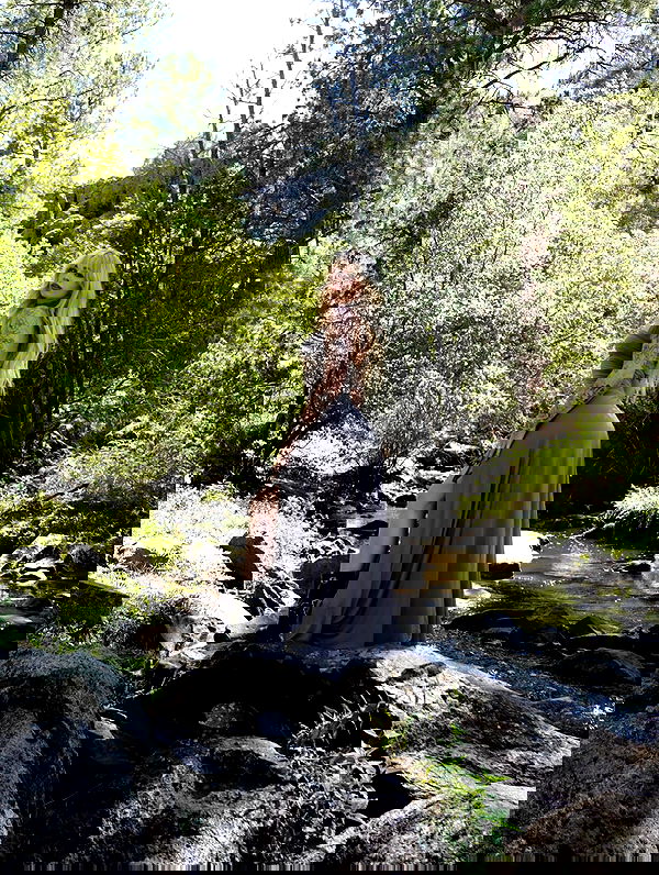 7lems7 7lems7 archive image