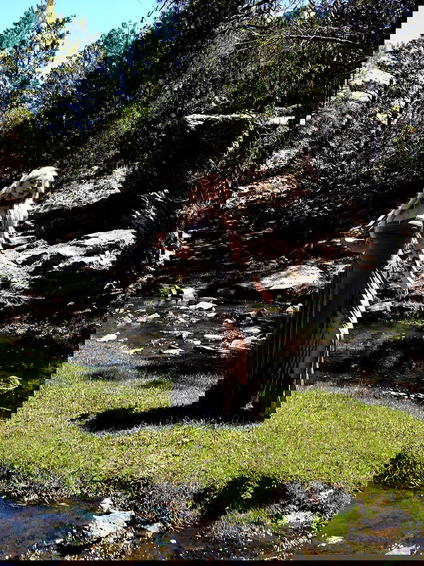 7lems7 7lems7 archive image