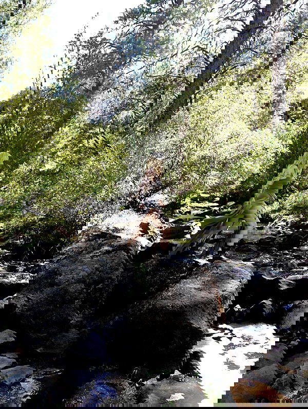 7lems7 7lems7 archive image