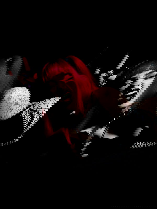 7lems7 7lems7 archive image