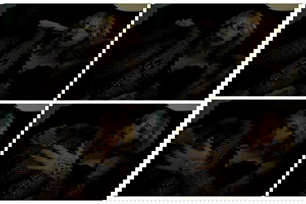 7lems7 7lems7 archive image