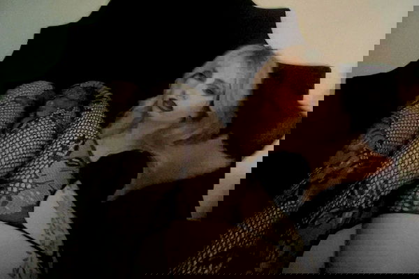 7lems7 7lems7 archive image