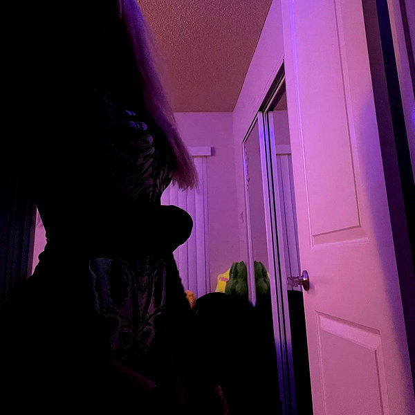 8.08.315 instagram image archive image
