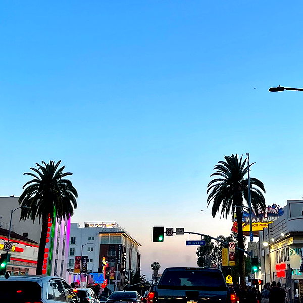8.08.315 instagram image archive image