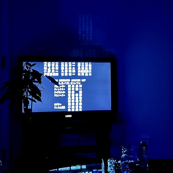8.08.315 instagram image archive image