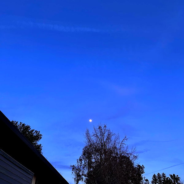 8.08.315 instagram image archive image