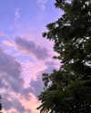 8.08.315 Altpins Profile Picture