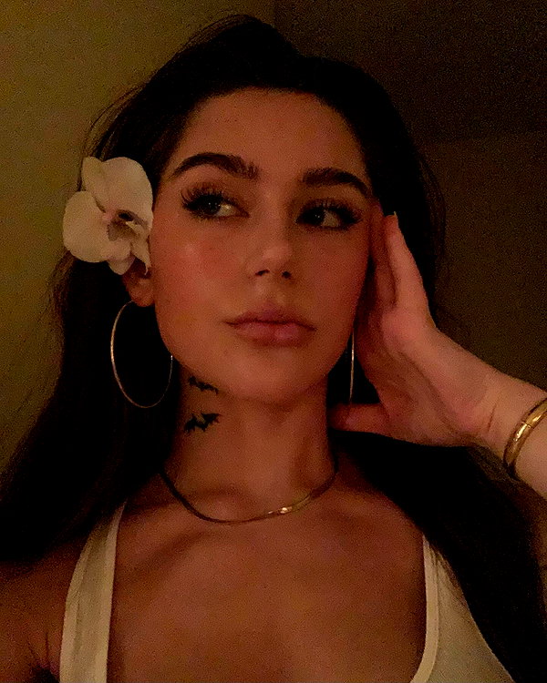 8.08.315 instagram image archive image