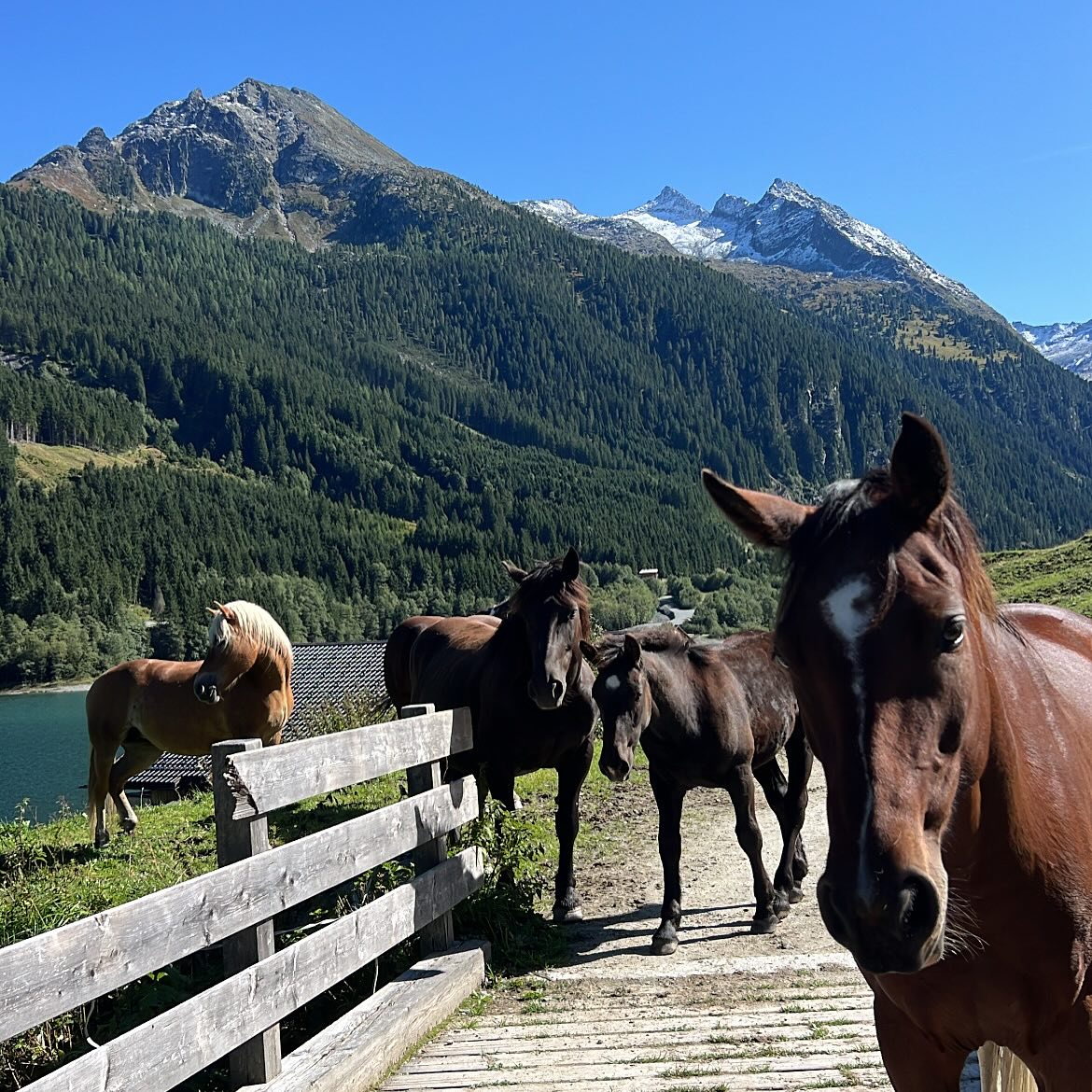 888r0mee instagram image archive image